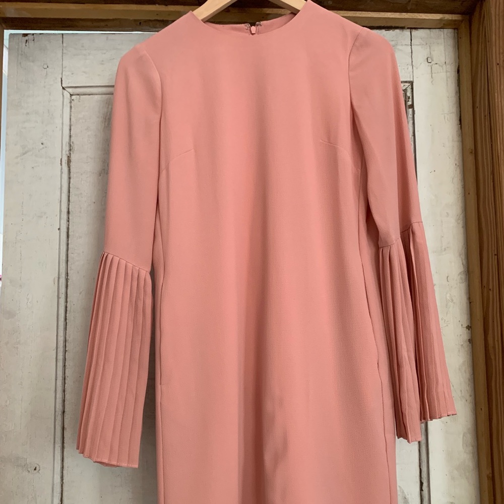Maggy London Shift dress w pleated Bell Sleeves